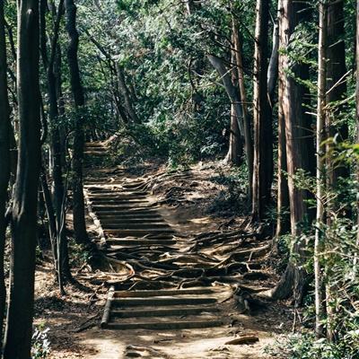 九游龙魂大陆手游下载